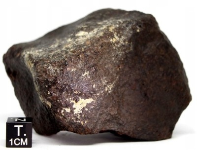 Meteoryt Jiddat al Harasis 073, chondryt zwyczajny L6, 270 gramów!