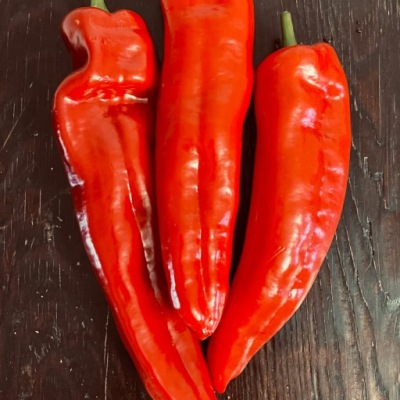 Papryka czerwona długa słodka