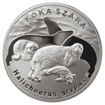 Moneta 20 zł Foka szara 2007
