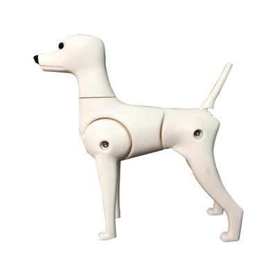 Pokaż Manekin Fałszywy Model Pies Szkielet Pudel