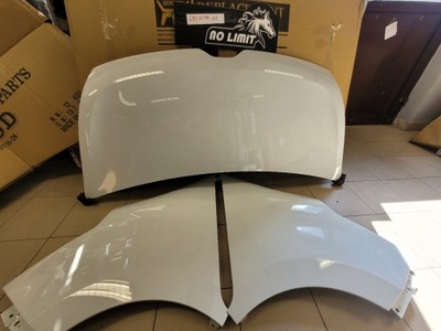 Renault master iii lift 2014- капот крылья белый фото №1