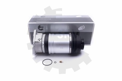 Esen skv 58skv068 амортизатор пневматичний фото №1