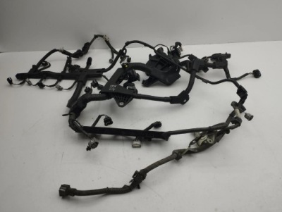 Toyota c-hr i 2017 жгут трубопровод двигателя фото №1