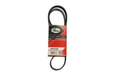 CORREA DE CUÑA GATES FIAT STILO (192_)  