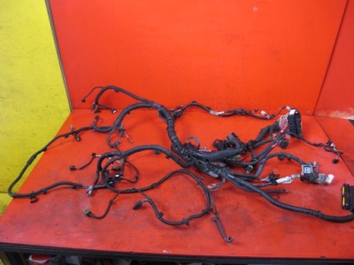 Laguna iii coupe 3.0 dci електропроводка джгут двигуна фото №1