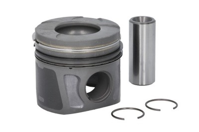 Поршень 69,6 ne 130020000700 фото №1