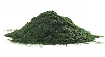 CHLORELLA Naturalna Algi Morskie w Proszku 250g