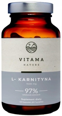 L-KARNITYNA CARNITINE SPALACZ TŁUSZCZU 120 KAPS