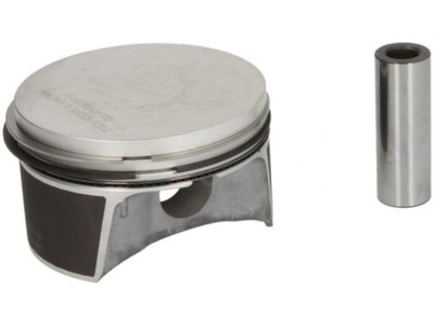 PISTON NURAL 87-141300-00  