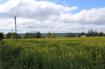 Działka, Wierzchowisko, 1040 m²