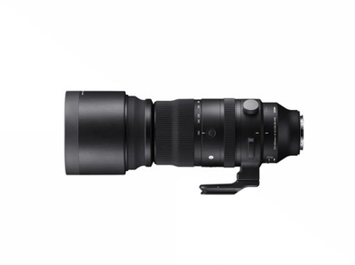 SIGMA 150-600mm F5-6.3 DG DN OS | Sports