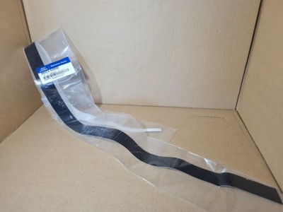 Hyundai ioniq стрічка верхній рами двері правий перед фото №1