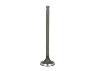 SOUPAPE ÉCHAPPEMENT FRECCIA R6558/RNT 