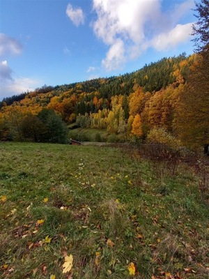 Działka, Michałkowa, Walim (gm.), 8400 m²