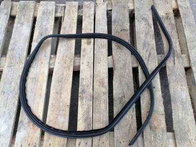 Прокладка двері правий перед renault megane scenic фото №1