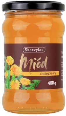 Miód mniszkowy 400g miód majowy SKOCZYLAS