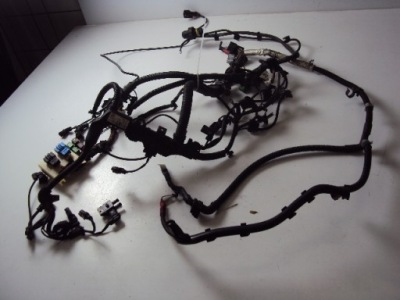 Электропроводка двигателя bmw serii 4 f32 coupe 13- фото №1