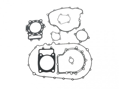 ZESTAW USZCZELEK SILNIKA CF MOTO X5 500 0180-0000A