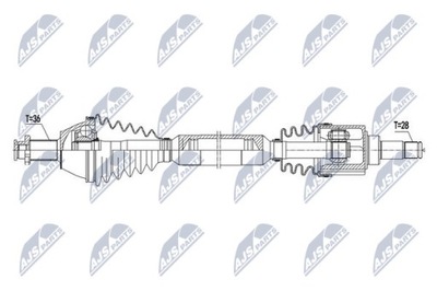 WALY PAVAROS NTY NPW-VW-071 