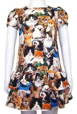 SUKIENKA KOTY, ŚLICZNE KOCIAKI