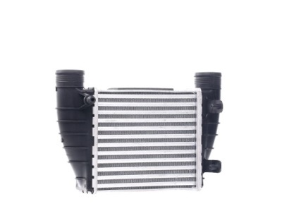 Ridex 468i0202 інтеркулер до audi a4 avant 8ed, b7 a4 кабріолет  a4 седан фото №1