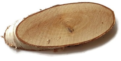 Plastry brzozy owalne skośne podłużne 25-30 cm