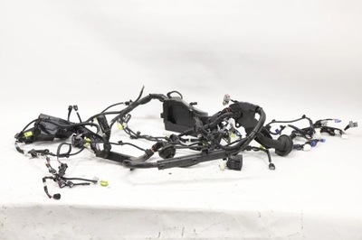 Lexus es vii електропроводка відсік двигуна фото №1