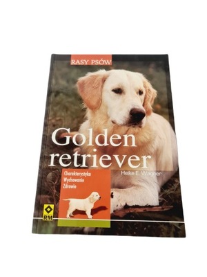 Rasy psów golden retriver. charakterystyka