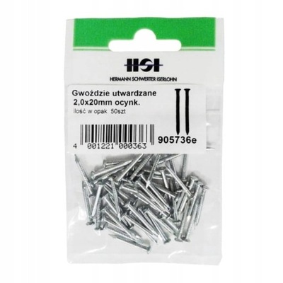 Gwoździe ocynkowane 2,0 x 20 mm 50 g