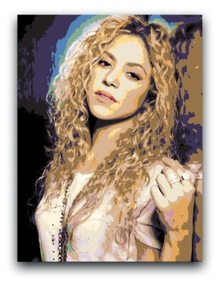 SHAKIRA - OBRAZ 80x60 canvas plakat