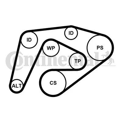 CONTINENTAL CTAM CON 6PK2260K3 JUEGO CORREA W/KLINOWEGO  