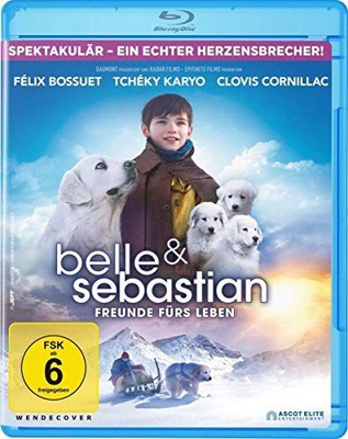 BELLE AND SEBASTIAN, FRIENDS FOR LIFE (BELLA I SEB