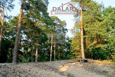 Działka, Zalesie Dolne, 2511 m²