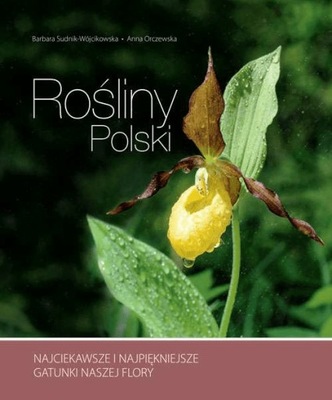 Rośliny Polski Najciekawsze najpiękniejsze gatunki