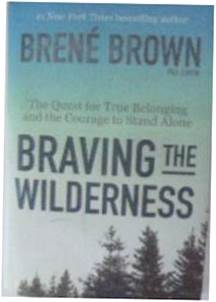 braving the wilderness - B . Brown 2017 24h wys