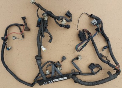 Жгут двигателя renault vel-satis 3,0 dci фото №1