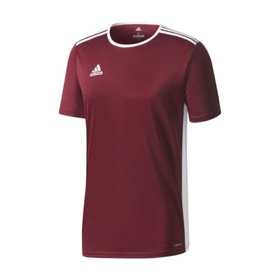 Koszulka adidas Junior Entrada 18 CE9564 176