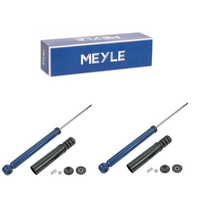 Амортизаторы задняя dacia logan ii 2012- sandero renault thalia iii фото №1