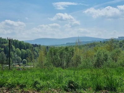 Działka, Lechów, Leśna (gm.), 8733 m²