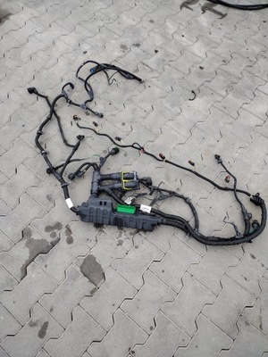 Джгут електропроводка двигуна volvo fh 13 renault magnum dxi 13 фото №1