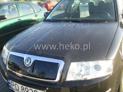 ЗАЩИТА ЗИМНЯЯ HEKO SKODA SUPERB I OD 2002 DO 2006R. ВЕРХНЯЯ HEKO фото