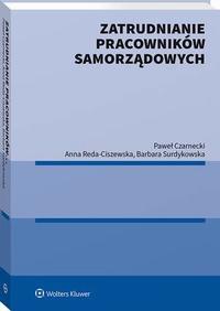 Zatrudnianie pracowników samorządowych - e-book