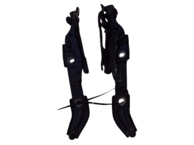 Петли крышки bmw 3 e92 фото №1