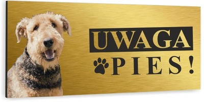 Tabliczka UWAGA ZŁY PIES AIREDALE TERRIER złota