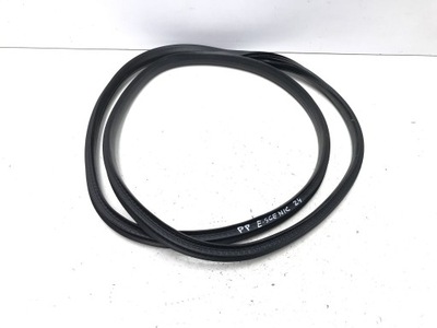 Renault scenic e-tech v 5 2024 2025 прокладка кузовна двері правий перед фото №1