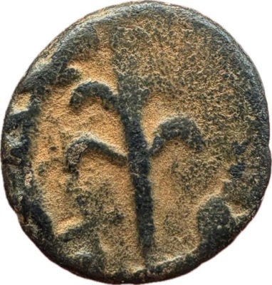 Islam moneta do identyfikacji ( 2,58g 14,3mm)