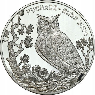 20 złotych 2005 Puchacz - SREBRO