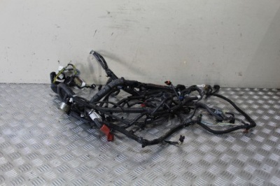 Жгут электрическая двигателя alaskan фото №1