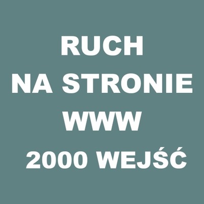 Ruch na stronie internetowej 2000 wejść SEO