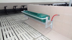 Poidło wylewne do ściany dla bydła 120 L